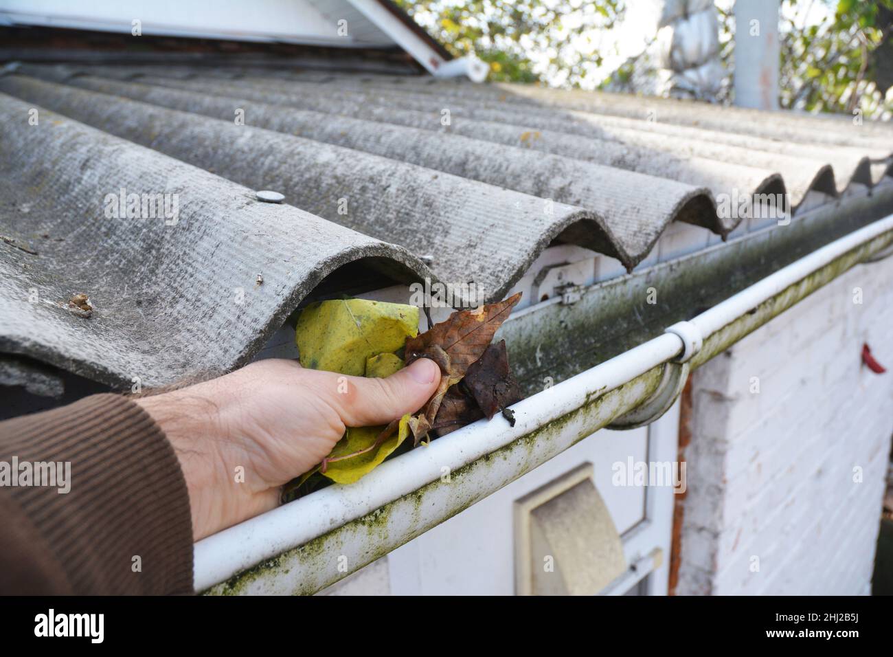 Worker cleaning the gutter from autumn leaves with his hand. Stock Photo