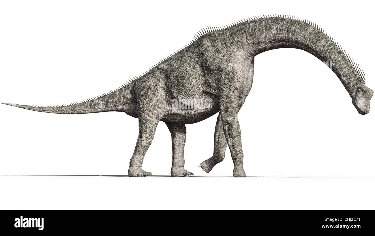 Brachiosaurus - prehistoric longneck Stock Photo
