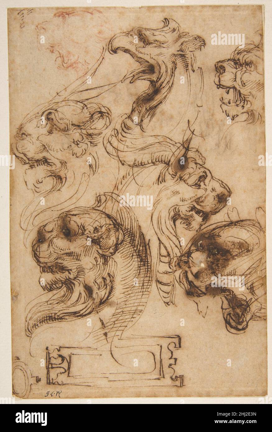 Six Studies of Animal Heads and of a Cartouche 1527–96 Pellegrino Tibaldi Italian. Six Studies of Animal Heads and of a Cartouche  340460 Stock Photo