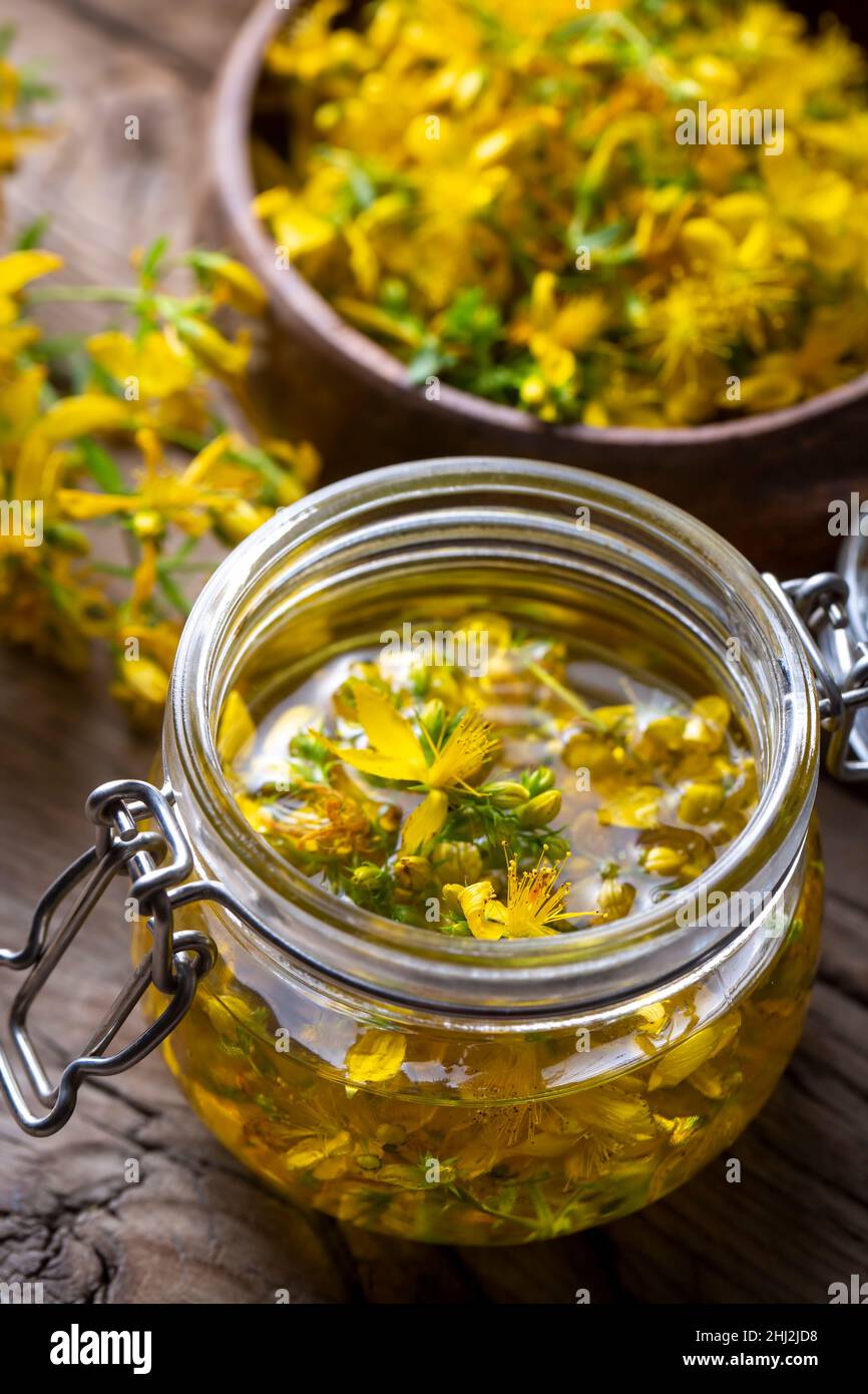 Preparation of St. John's wort oil from fresh blooming Hypericum