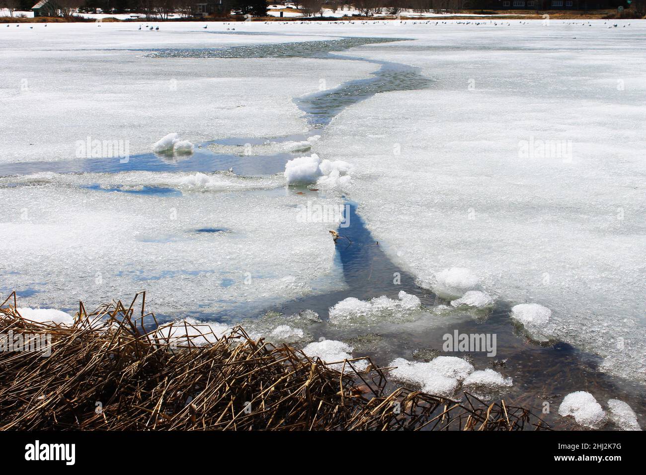 A large crack running through melting ice on a pond. Stock Photo
