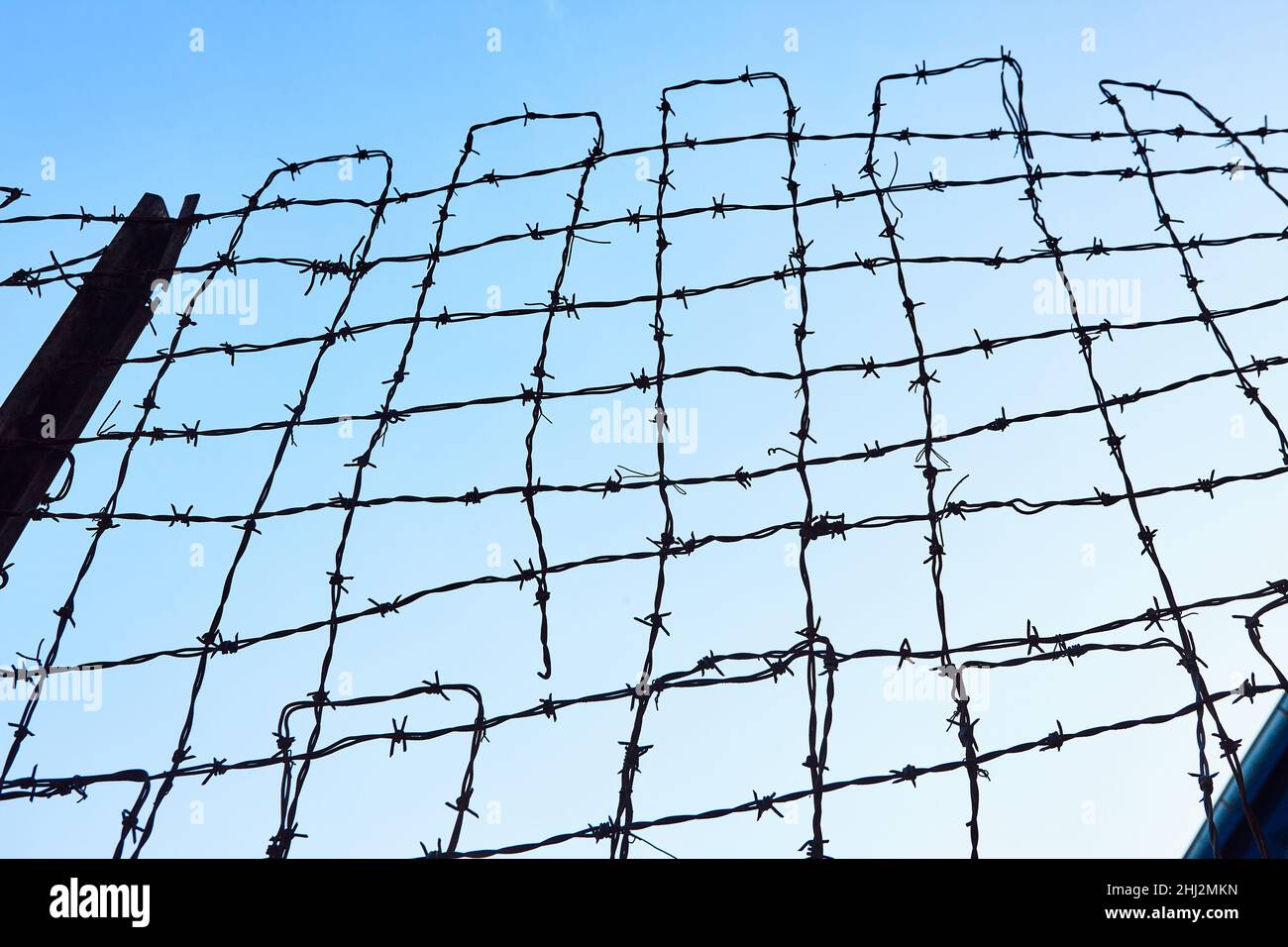 Barbed wire against the blue sky . Freedom suppression symbol Stock Photo