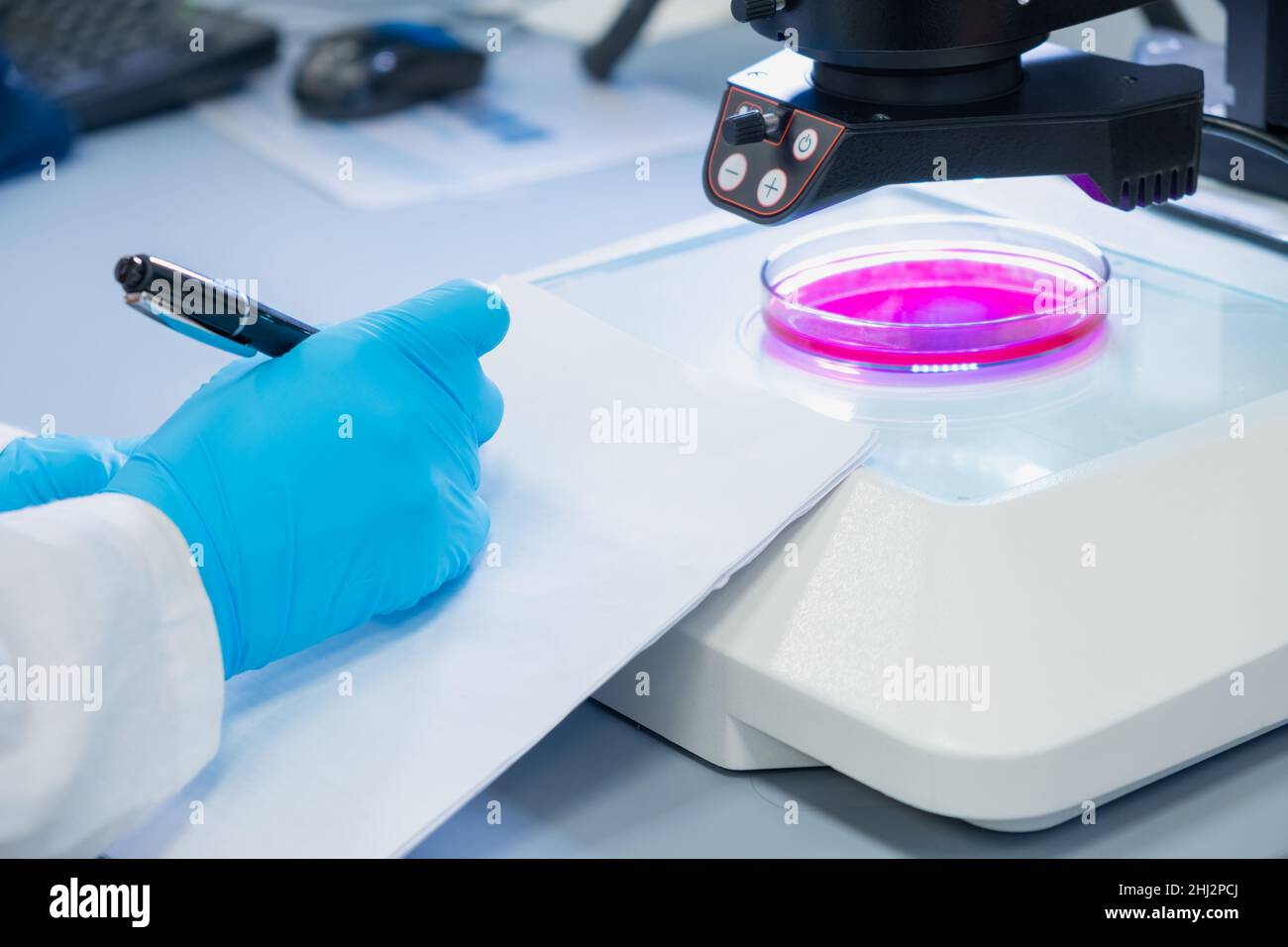 Close up scientist in rubber gloves making notes of the microbiological