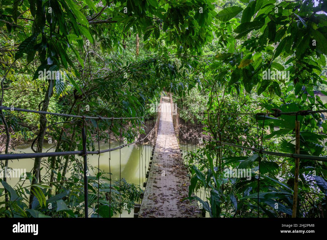 Suspension bridge, Drake Bay, Puntarenas Province, Costa Rica Stock Photo