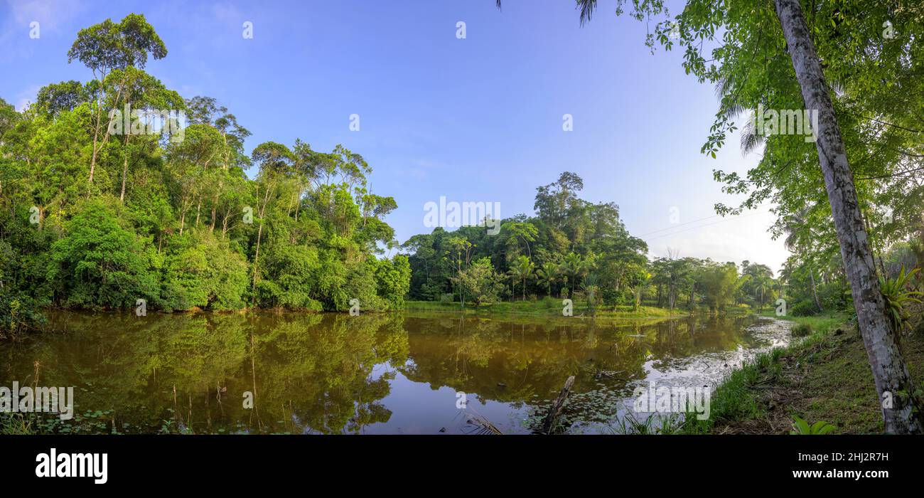 Rainforest, lake below Laguna del Lagarto Eco-Lodge, San Carlos, Alajuela Province, Costa Rica Stock Photo