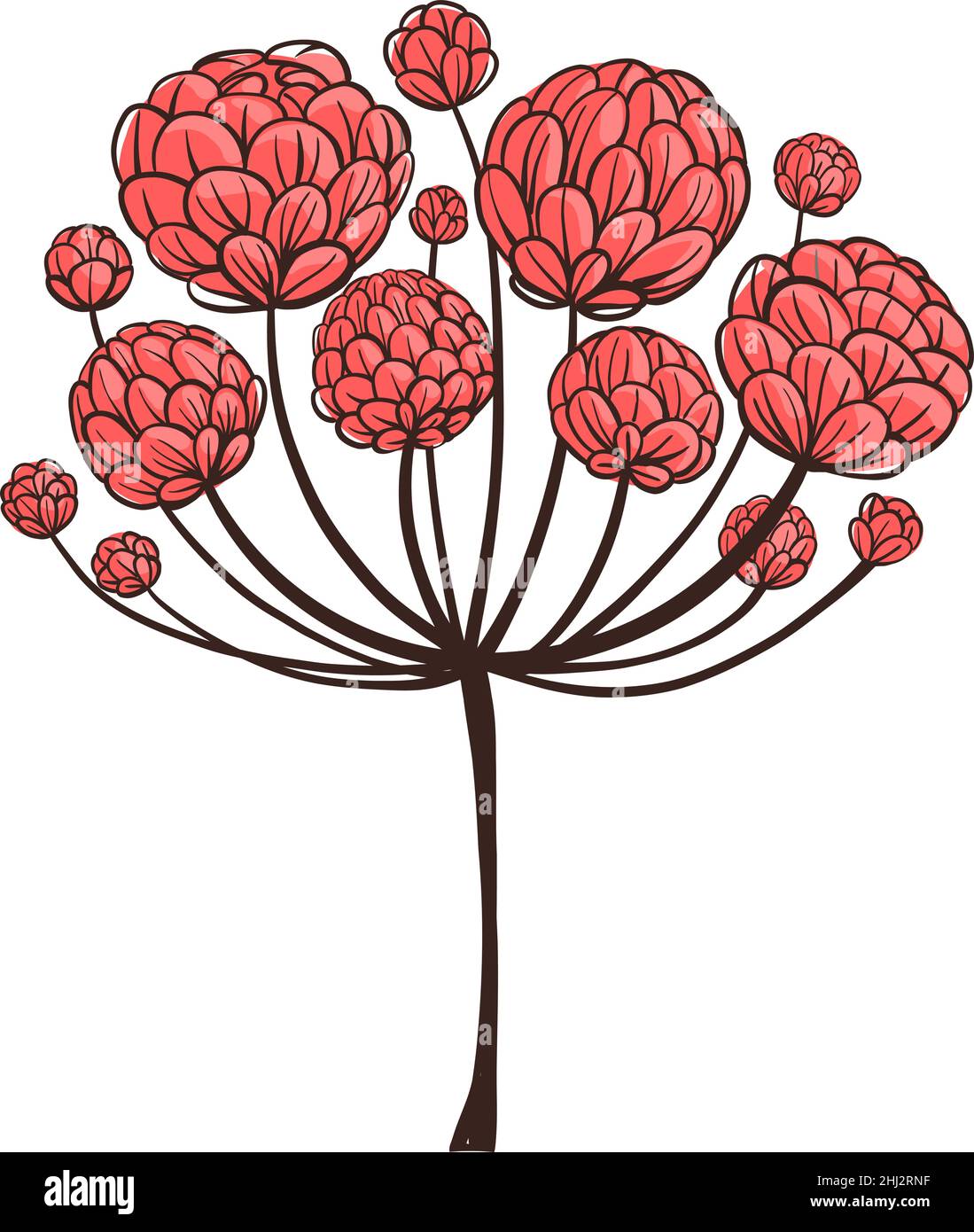 Red clover illustration Stock Vector Images - Alamy