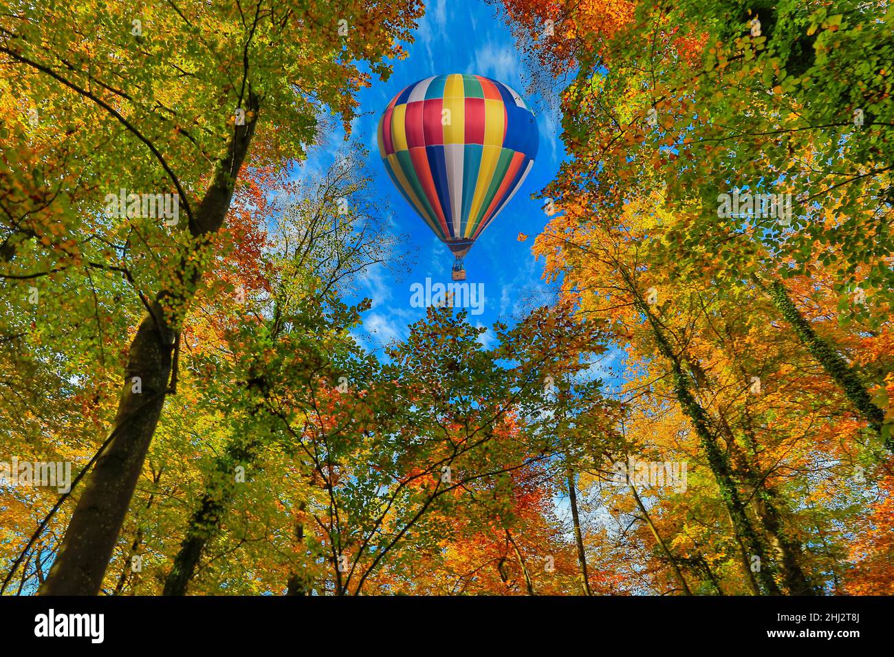 Hot air balloon over the forest, between the trees, Grenzach-Wyhlen, Baden-Wuerttemberg, Germany Stock Photo