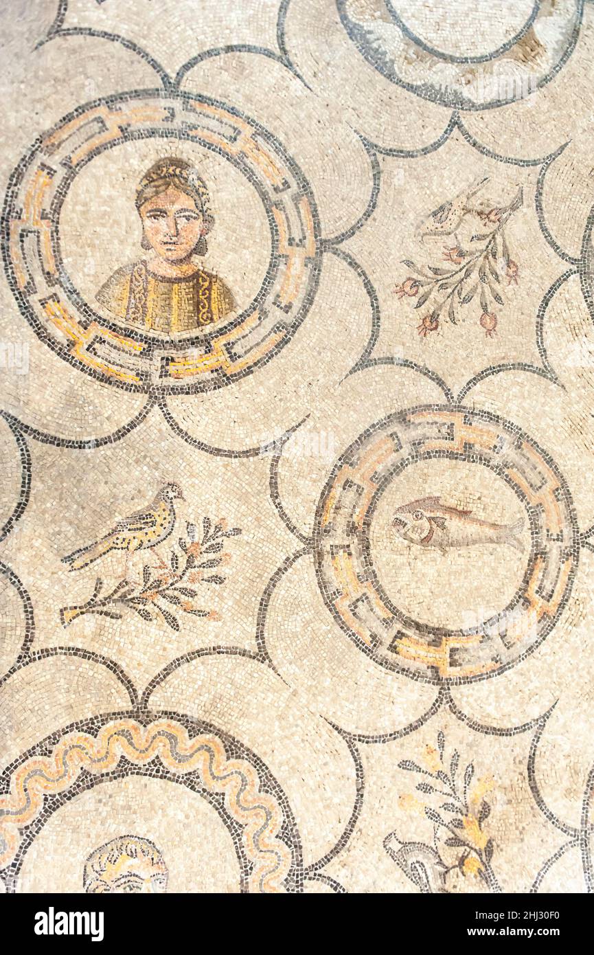 Archaeology, mosaic, early Christian floor mosaic, figure, bird, fish ...