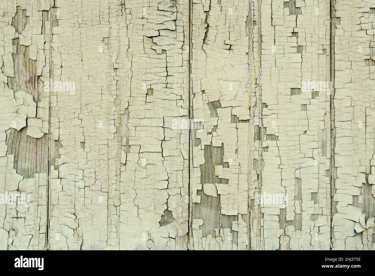 Old wooden fence painted faded green old paint Stock Photo - Alamy