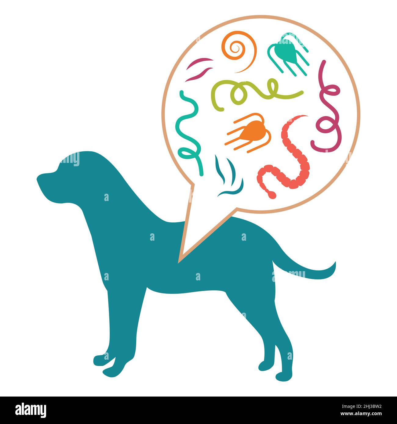 types of cat and dog parasites. Intestinal worm Stock Vector