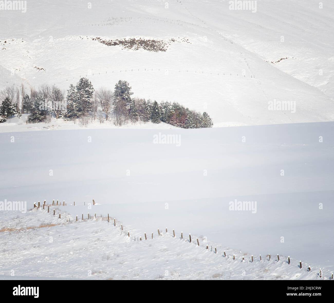 Shades of Winter Stock Photo