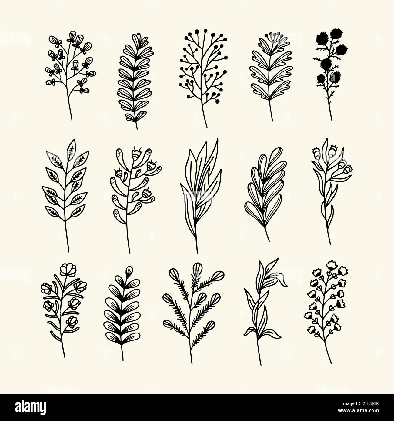 Set of hand drawn plant branches and leaves. Vector doodle style Stock ...