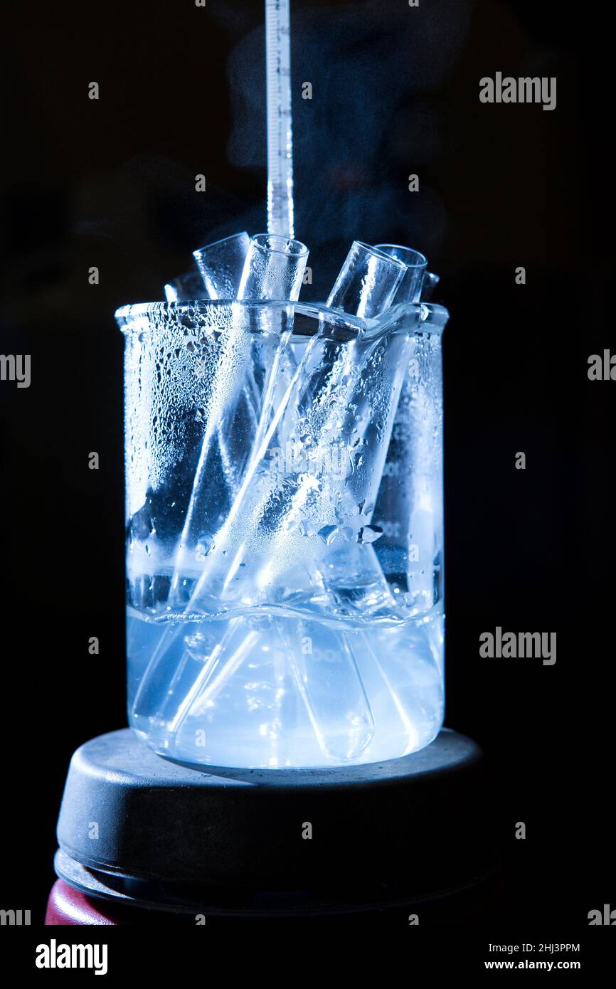Beaker with test tubes on a hot plate Stock Photo Alamy