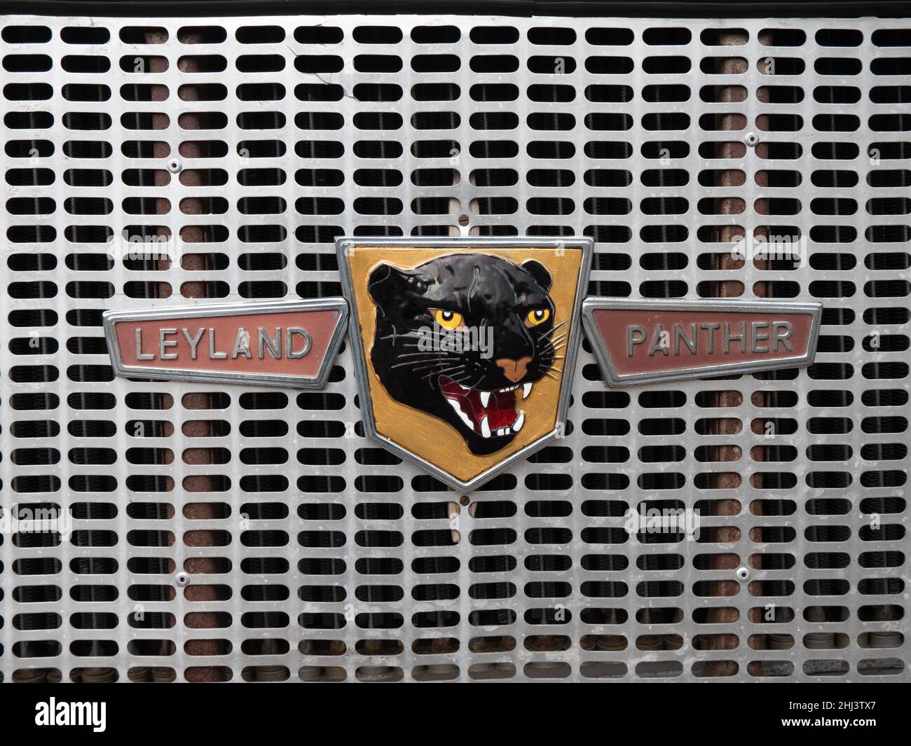 Leyland Panther radiator badge Stock Photo