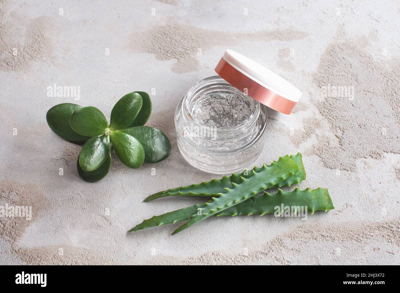 Gel texture with bubbles hyaluronic acid and aloe vera branches in a glass jar on a concrete background Stock Photo