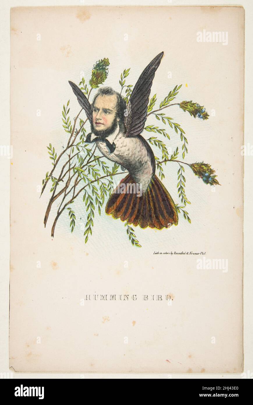 Social natural history drawing animal hi-res stock photography and ...
