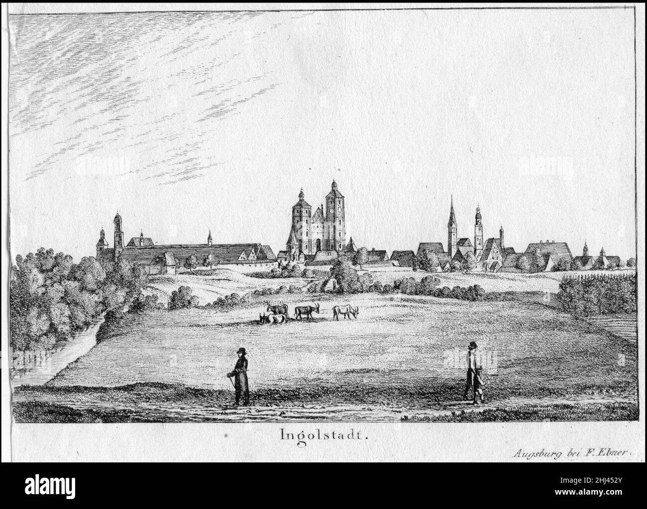 jobbörse ingolstadt