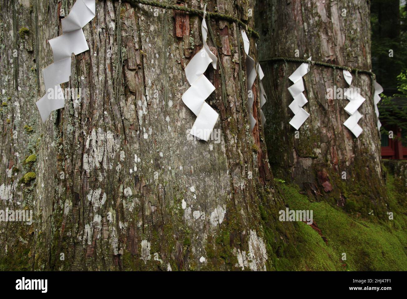 Japanese shinto zigzag-shaped paper streamers (shide) in Nikko designating sacred place Stock Photo