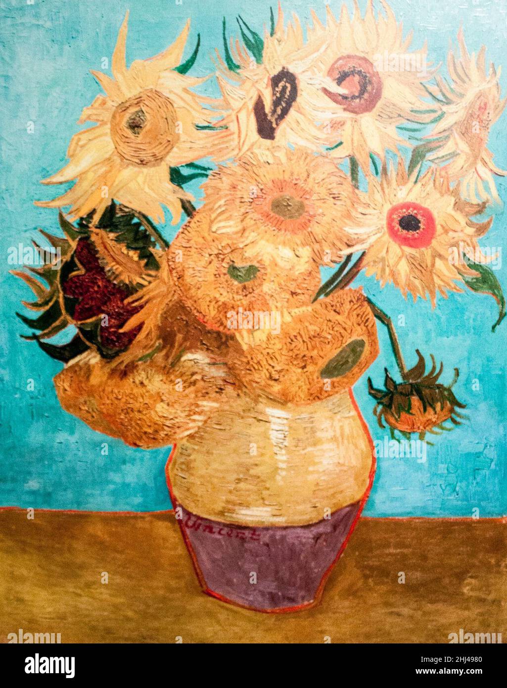 Vase with twelve sunflowers hires stock photography and images Alamy