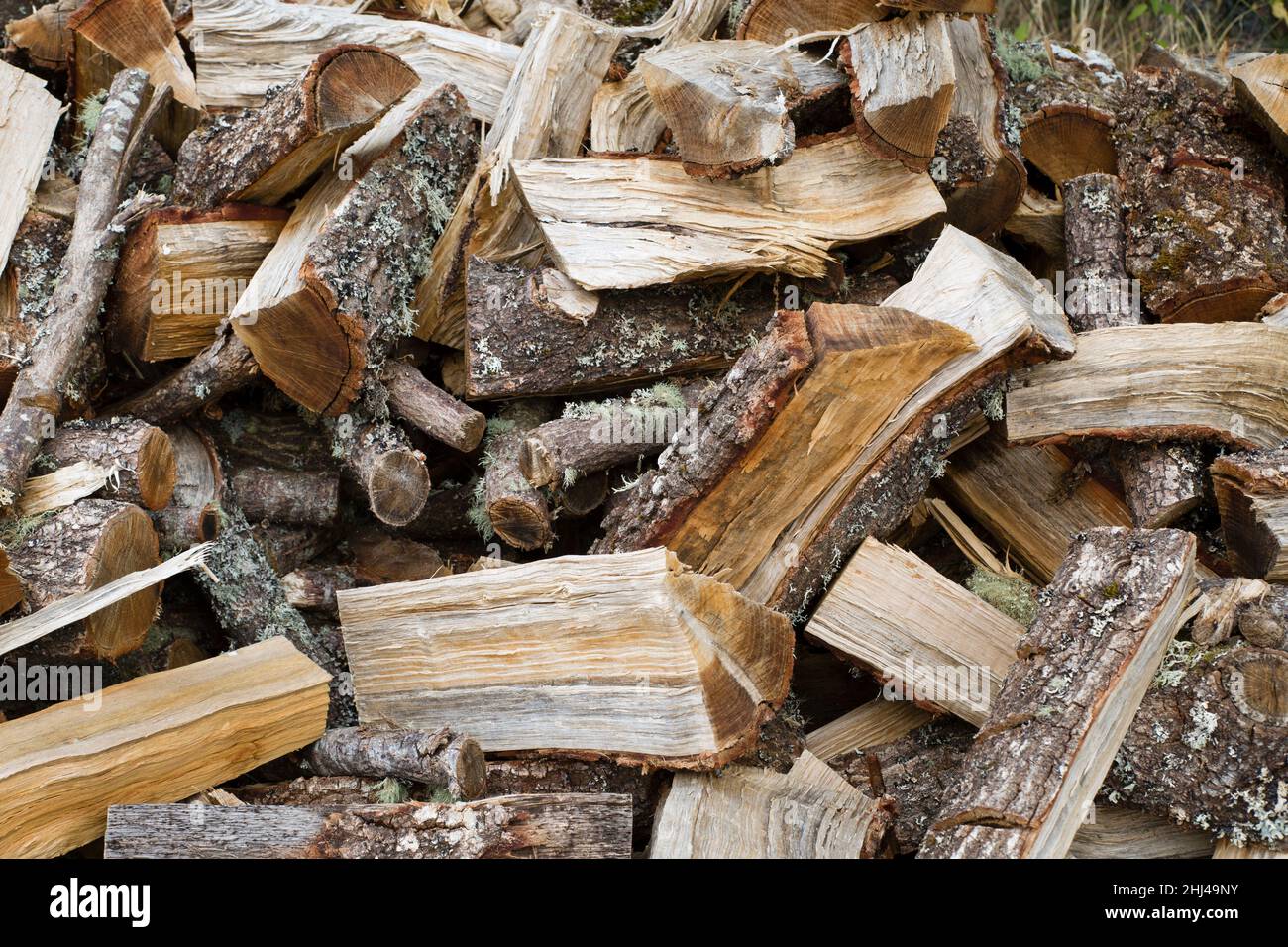 Oak firewood hires stock photography and images Alamy