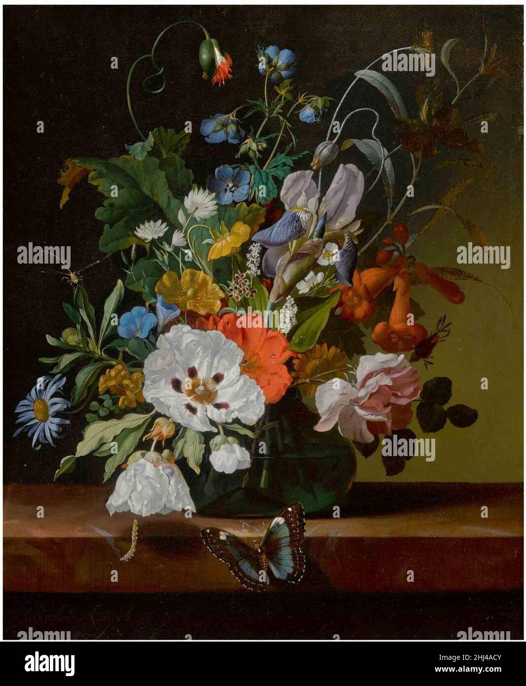 Still life with flowers in a vase on a ledge with a dragonfly ...