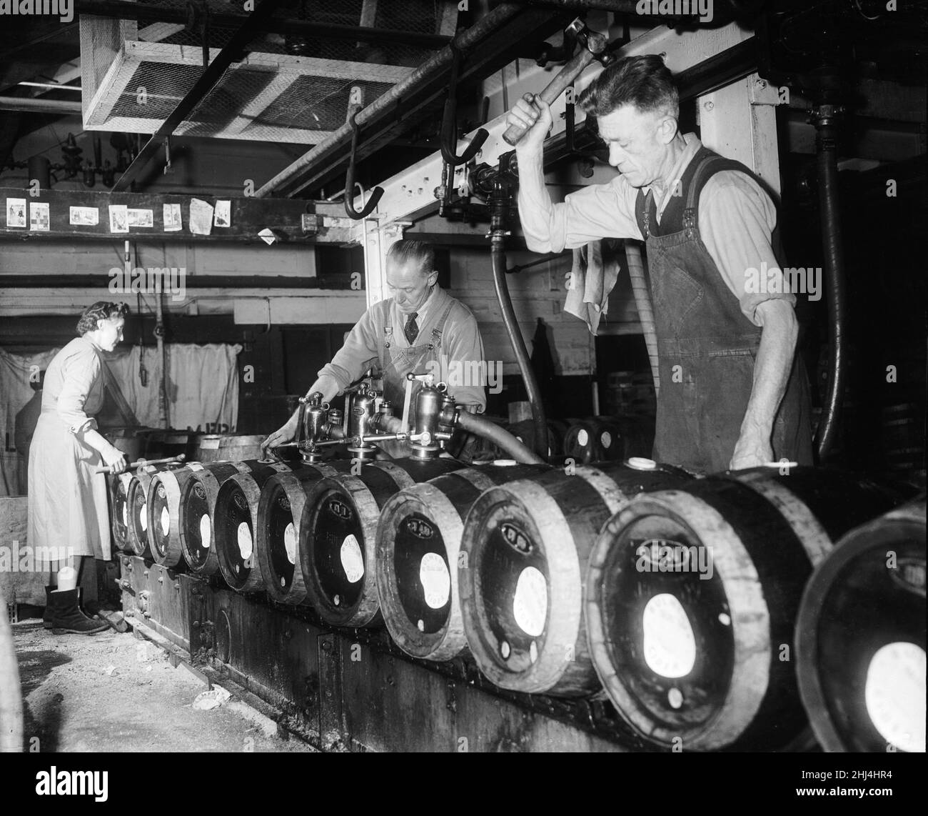 Cider being kegged at the Bulmers Cider Mill in Plough Lane, Hereford