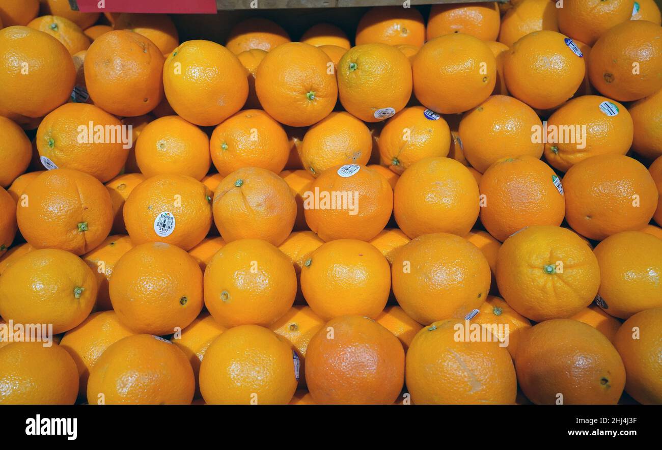 Ladue, United States. 26th Jan, 2022. Bright, plump oranges sit for sale at Schnucks Markets in Ladue, Missouri on Wednesday, January 26, 2022. The U.S. Department of Agriculture warned orange growers may see a low crop yield this year because of the Citrus Greening Diseases. Infected trees bear fruit that are smaller, higher in acidity and lower in sugar. Officials say this years crop could be one of the worst seasons since World War II. Photo by Bill Greenblatt/UPI Credit: UPI/Alamy Live News Stock Photo