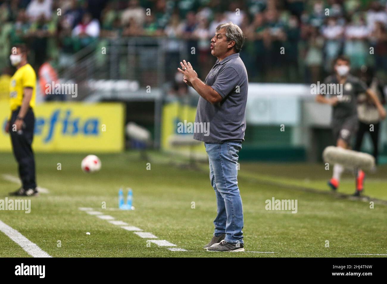 SP - Sao Paulo - 01/26/2022 - PAULISTA 2022, PALMEIRAS X PONTE PRETA - Rony  Palmeiras player celebrates his goal during a match against Ponte Preta at  the Arena Allianz Parque stadium