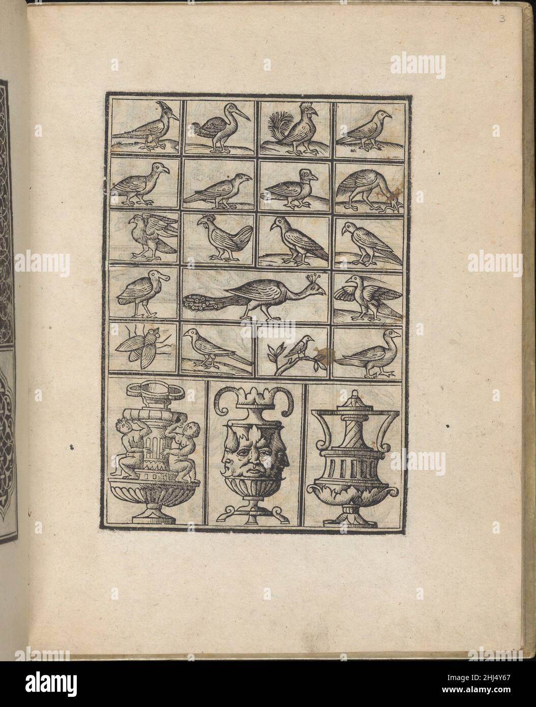 Trionfo Di Virtu. Libro Novo..., page 3 (recto) 1563 Matteo Pagano Italian Published by Matteo Pagano, Italian, 1515-1588, Venice.From top to bottom, and left to right:Design divided into 6 horizontal registers. First 5 registers consist of squares and rectangles that are each illustrated with a bird or insect. Sixth register is decorated with 3 ornamented vases.. Trionfo Di Virtu. Libro Novo..., page 3 (recto)  662219 Stock Photo