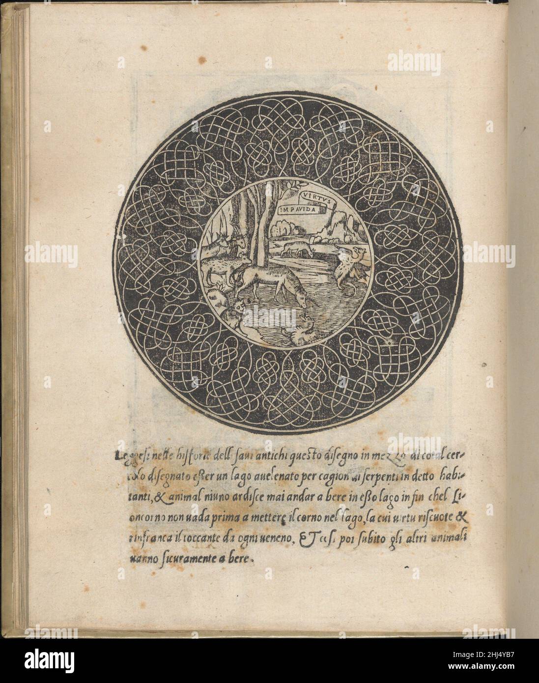 Trionfo Di Virtu. Libro Novo..., page 30 (recto) 1563 Matteo Pagano Italian Published by Matteo Pagano, Italian, 1515-1588, Venice.From top to bottom, and left to right:Design is decorated with an ornamented circle above and an ornamented semi-circle. The circle is decorated with a series of curving branches; at the top of the circle is a twisting banner upon which 'INRI' is inscribed. The semi-circle is decorated with a Moresque pattern.. Trionfo Di Virtu. Libro Novo..., page 30 (recto)  662280 Stock Photo