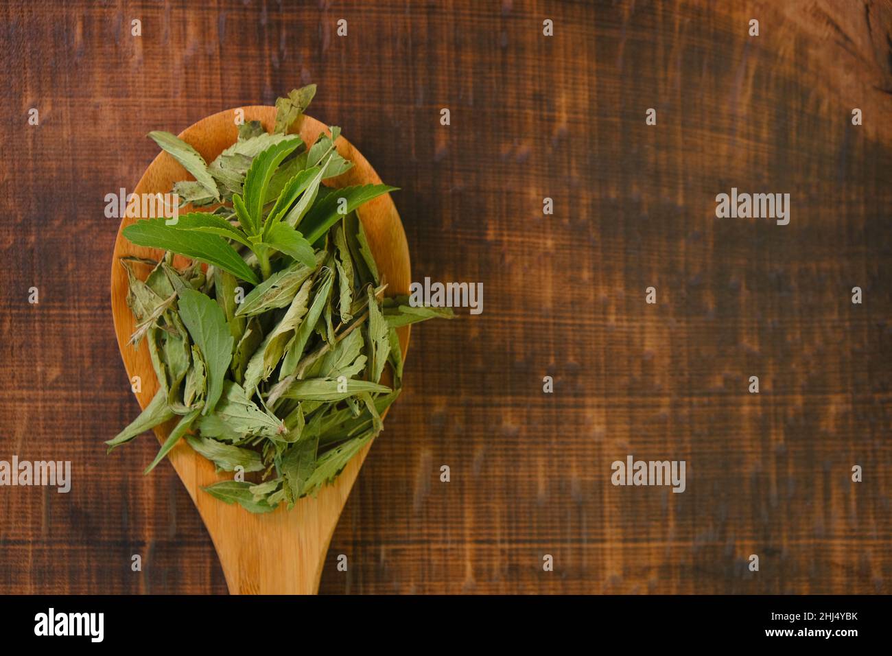 Stevia rebaudiana twig into in dry stevia leaves in a wooden spoon on a