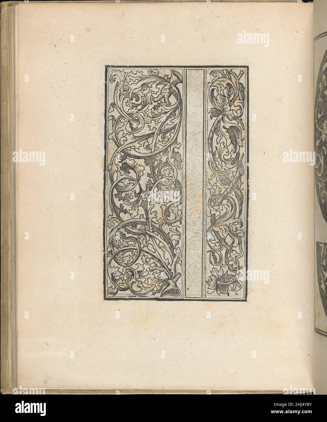 Trionfo Di Virtu. Libro Novo..., page 29 (recto) 1563 Matteo Pagano Italian Published by Matteo Pagano, Italian, 1515-1588, Venice.From top to bottom, and left to right:Design composed of 2 vertical columns. Left column is decorated with 4 coiling branches of leaves and dandelions. Right column is decorated with 4 coiling branches of leaves.. Trionfo Di Virtu. Libro Novo..., page 29 (recto)  662277 Stock Photo