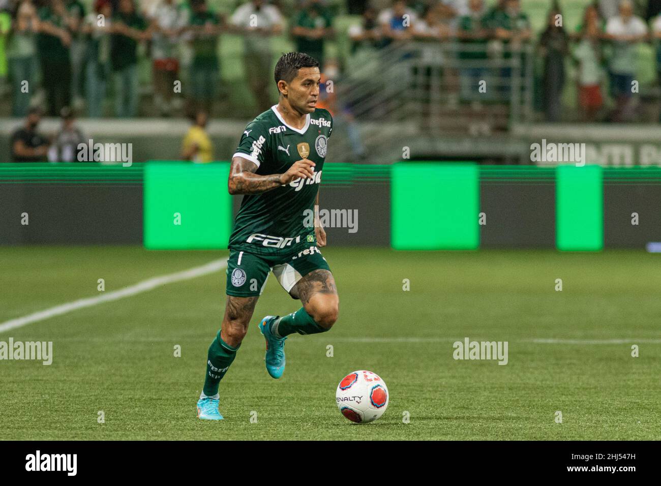 SP - Sao Paulo - 01/26/2022 - PAULISTA 2022, PALMEIRAS X PONTE PRETA - Rony  Palmeiras player regrets lost chance during a match against Ponte Preta at  the Arena Allianz Parque stadium