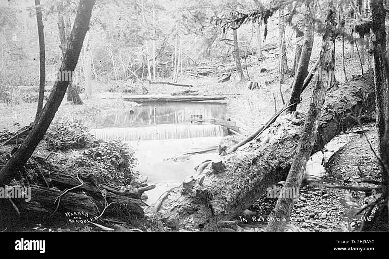 Stream running through Ravenna Park, Seattle, Washington, ca 1890 Stock