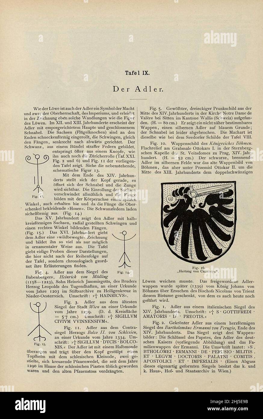 Ströhl Heraldischer Atlas t09 1. Stock Photo