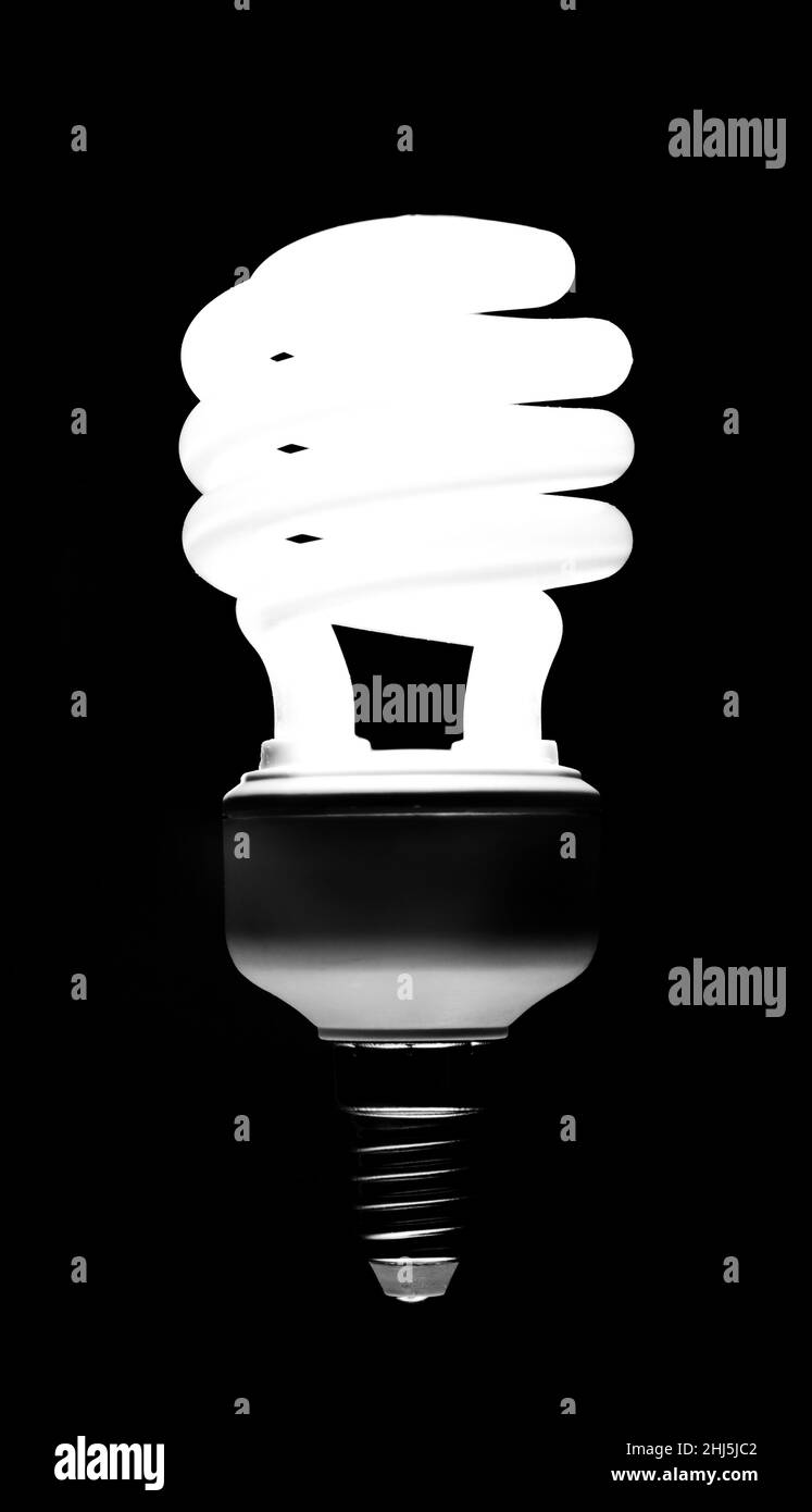 Spiral energy saving compact fluorescent lightbulb on black background. Stock Photo