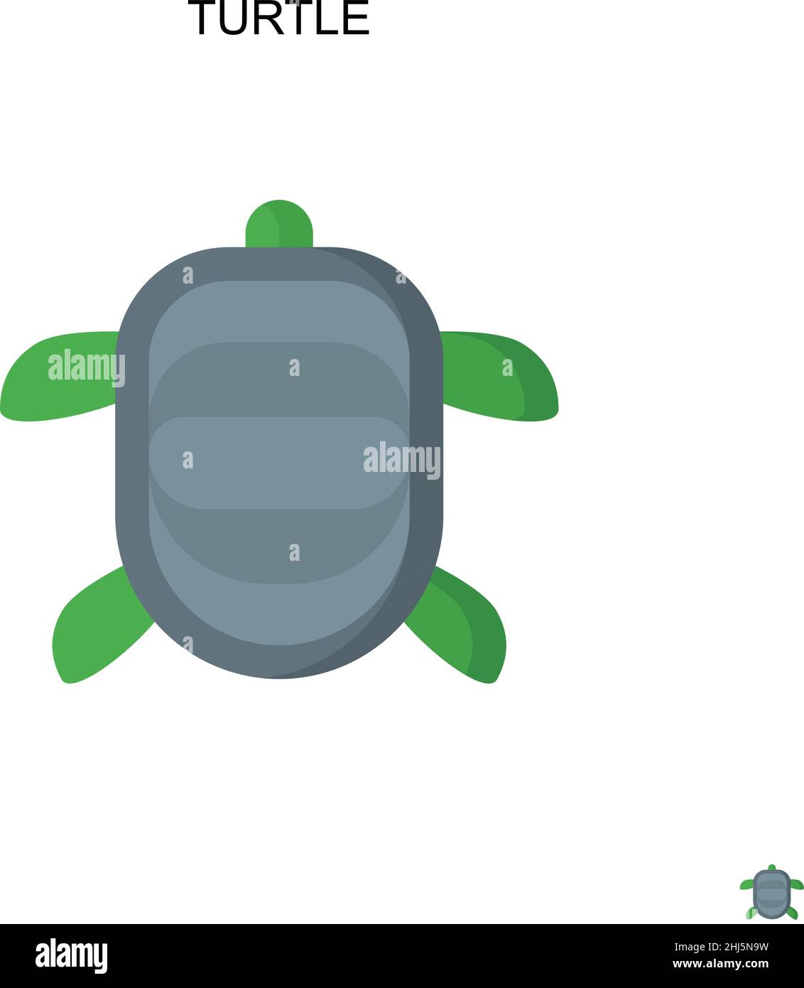 Turtle Simple vector icon. Illustration symbol design template for web mobile UI element. Stock Vector