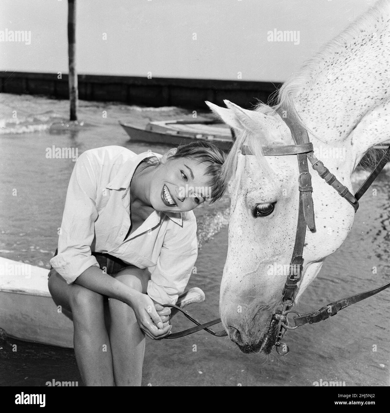 1956 Venice Film Festival, Friday 31st August 1956. Our Picture Shows ... Italian actress and fashion model Elsa Martinelli enjoys a ride in the sea on Bill the horse. Stock Photo