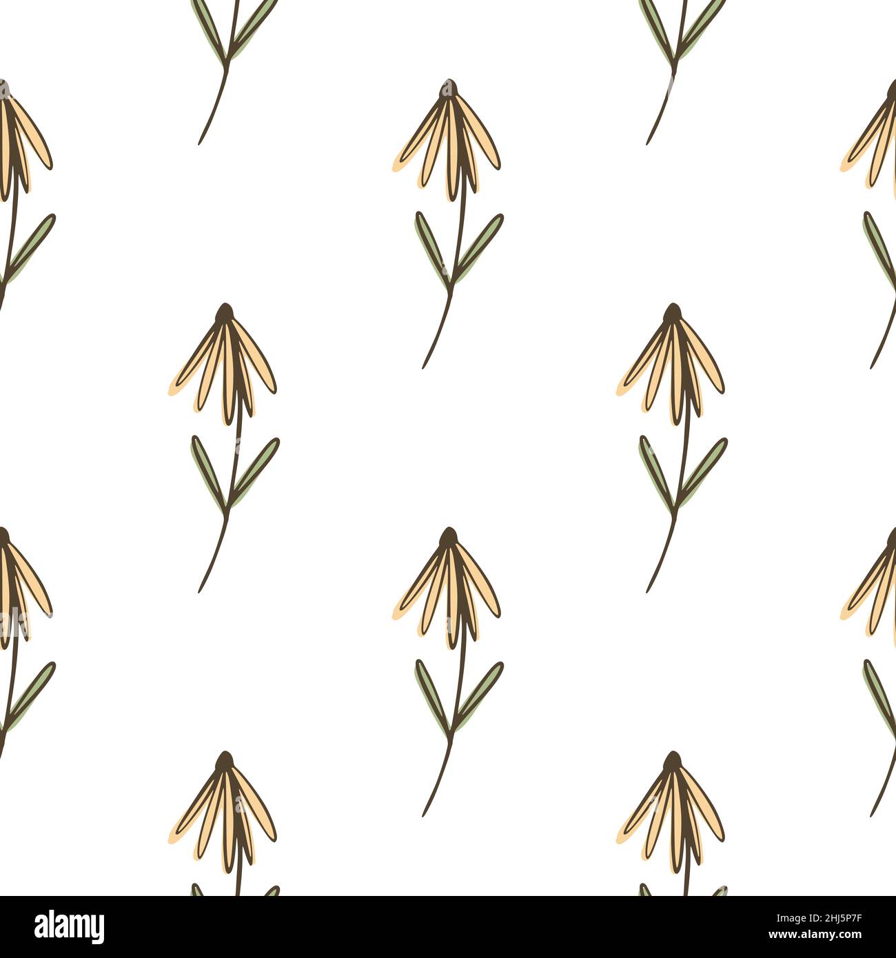 Botany seamless pattern with brown outline colored flower shapes. White ...