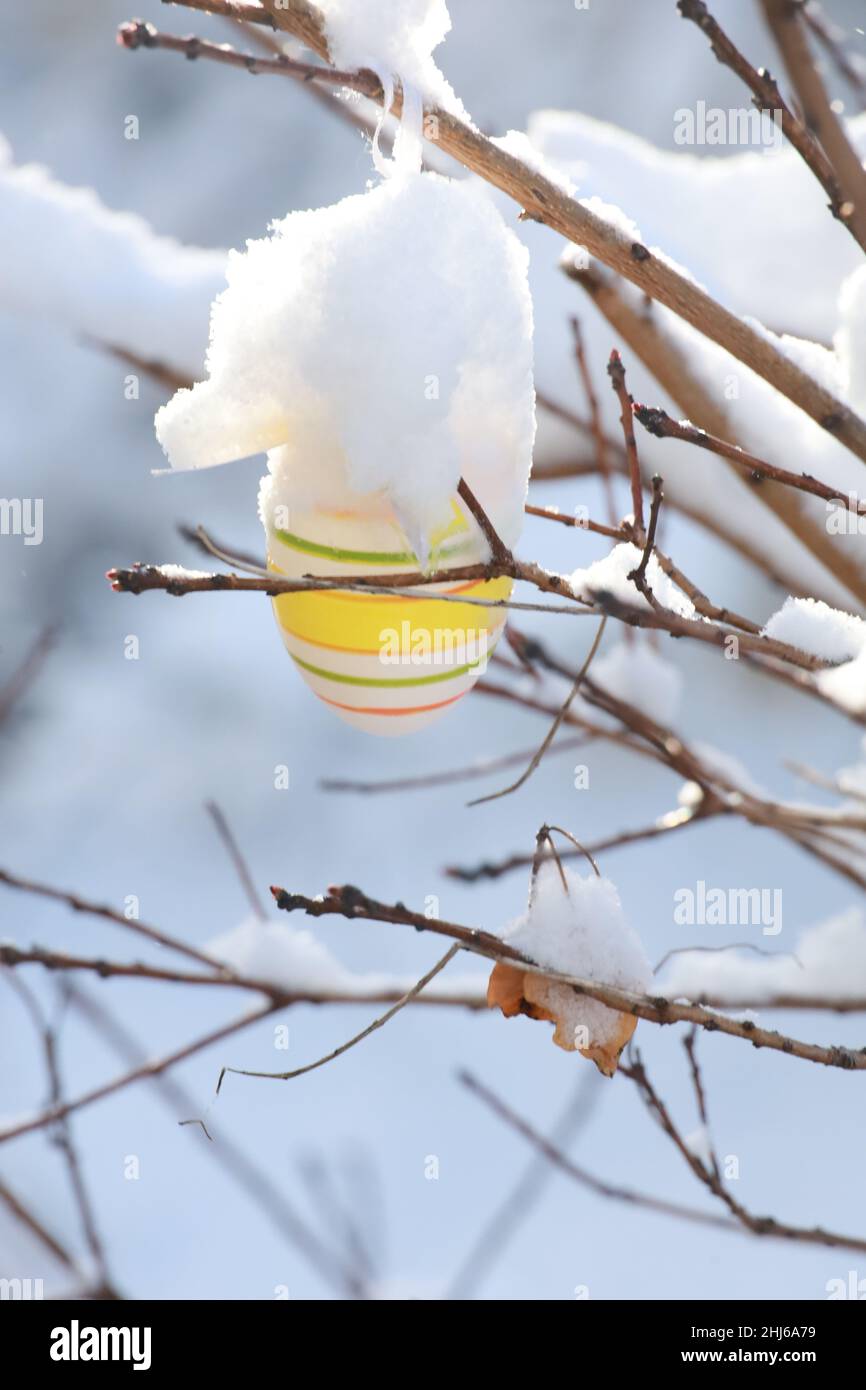 beautiful easter eggs on a tree branch outdoors Stock Photo