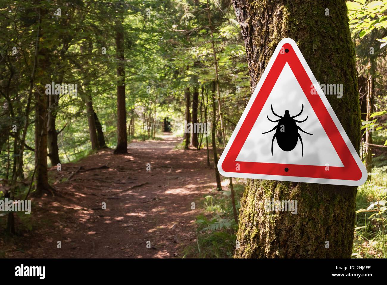 Infected ticks warning sign in a forest. Risk of tick-borne and lyme disease. Stock Photo
