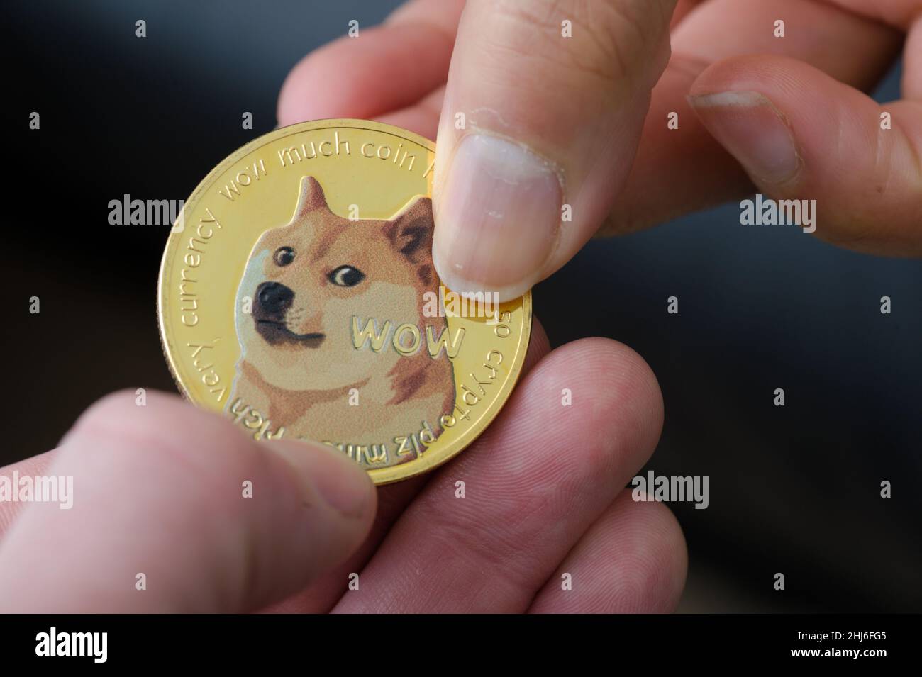 Dogecoin cryptocurrency coin held in a hand. Dogecoin is a cryptocurrency, a digital currency. Stock Photo