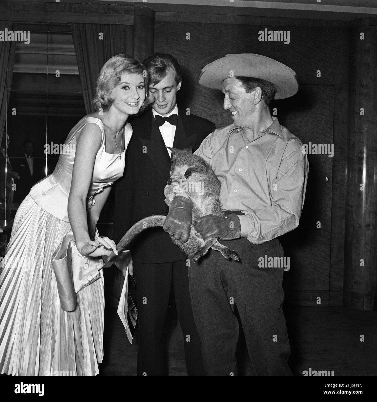 Jill Ireland and husband David McCallum with a wallaby at the premiere of 'Robbery Under Arms'. 4th October 1957. Stock Photo