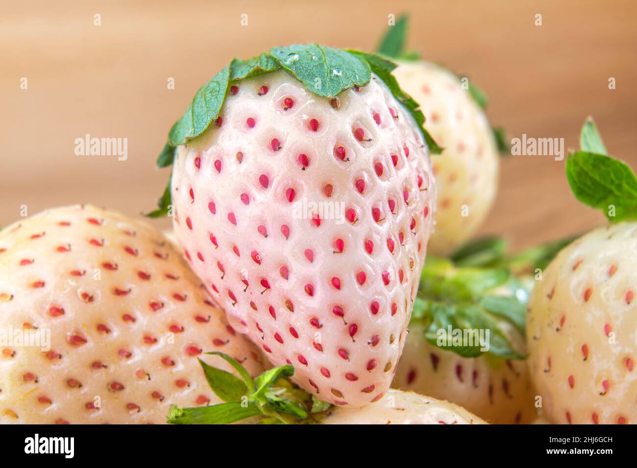 Close-up of pine berries with a wooden background Stock Photo