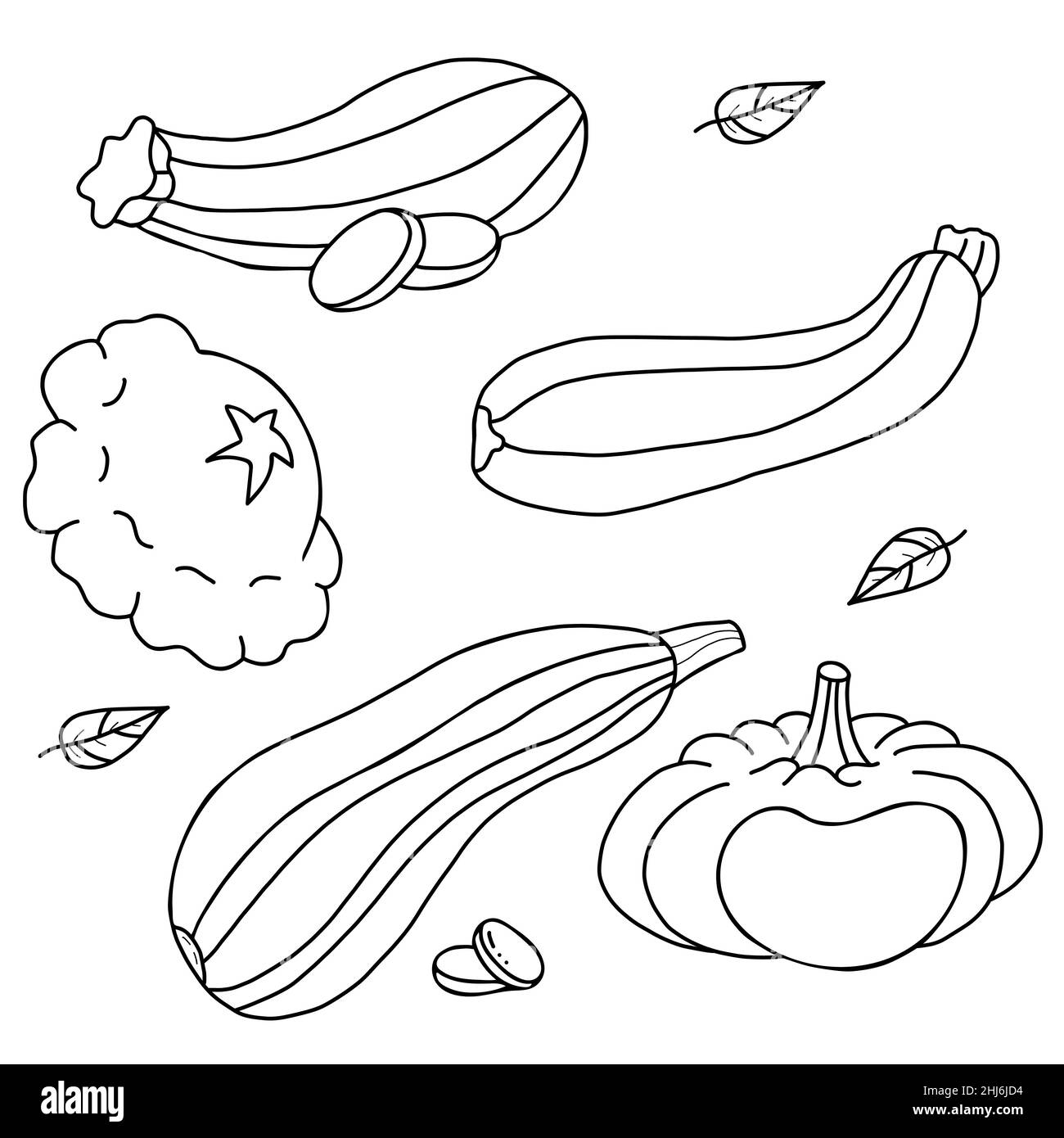 Set of vegetables. Pumpkin and pattison, vegetables squash and zucchini. Vector illustration. Isolated linear hand drawing, Outline for design, decor Stock Vector