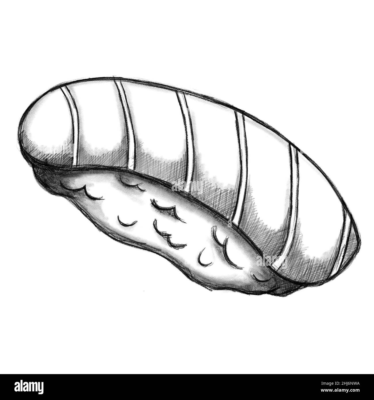 sushi sake japanese food traditional with sketch hand drawn drawing by ...