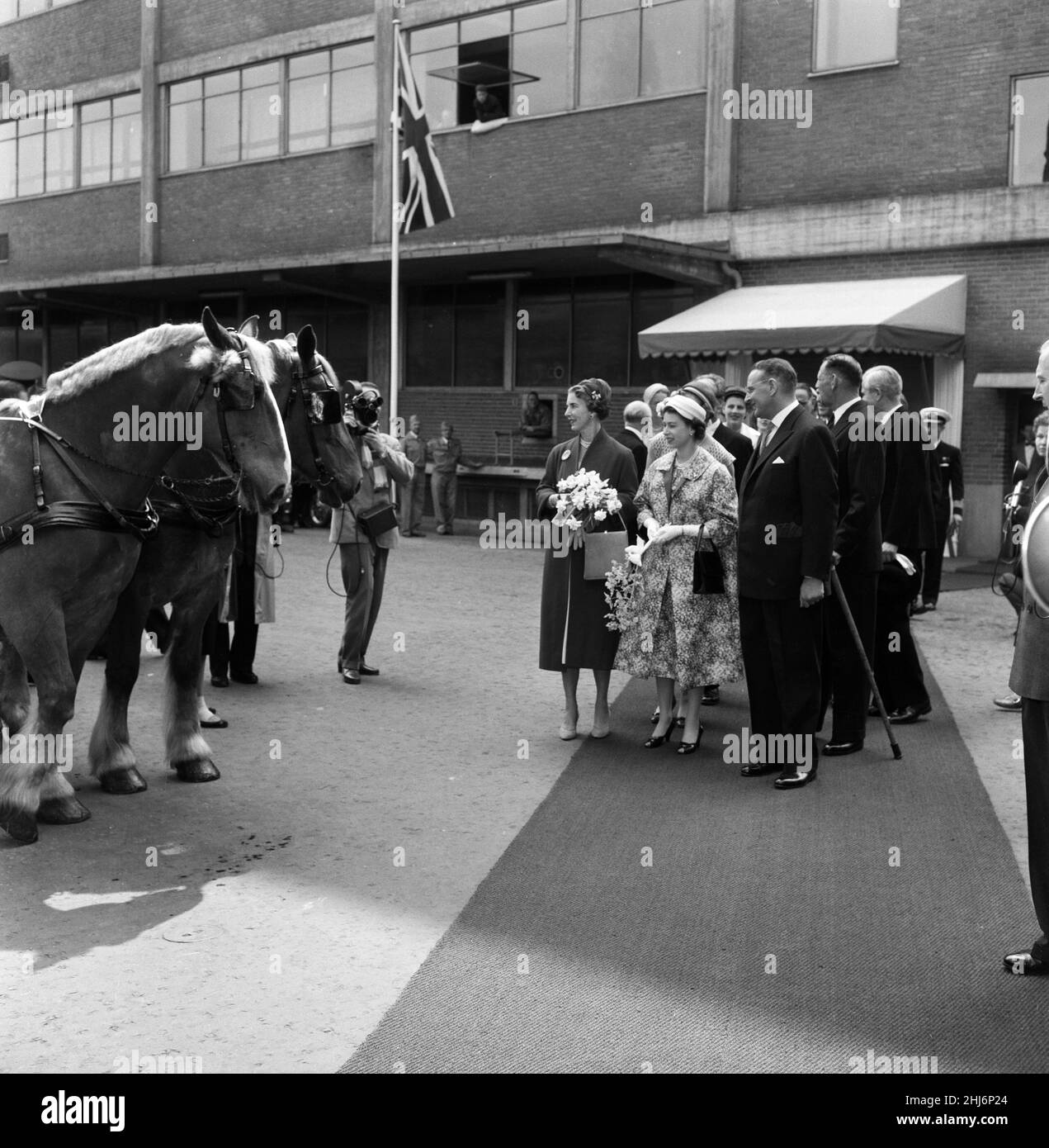 Queen Elizabeth II and Prince Philip, Duke of Edinburgh visit to Denmark. Queen Ingrid of Denmark and Queen Elizabeth look at the magnificent horses at the Carlsberg Breweries. 22nd May 1957. Stock Photo