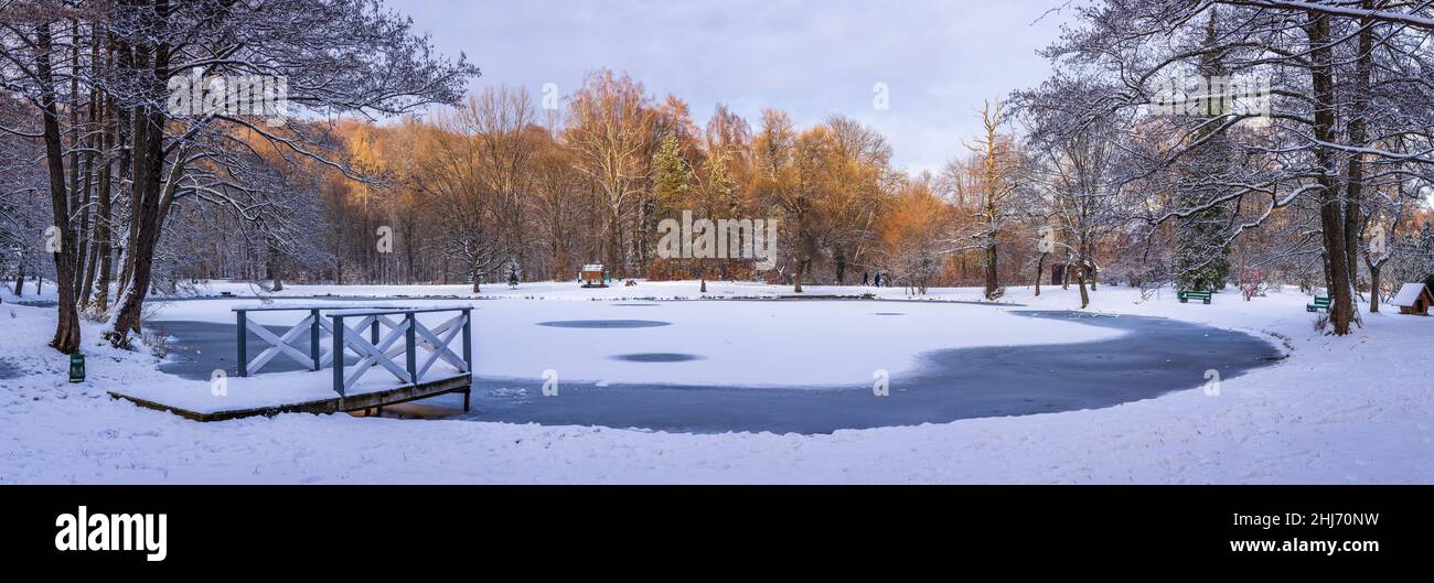 Winter in the park with frozen lake in Ukraine Stock Photo
