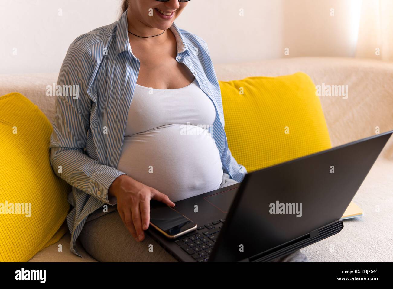 Successful hardworking Pregnant business Woman With Laptop and Noutbook