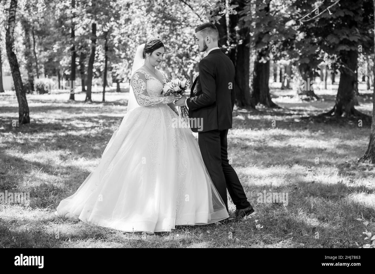 The bride and groom are walking in the park in the summer, hugging. The newlyweds are walking in the park. Trees in the background Stock Photo